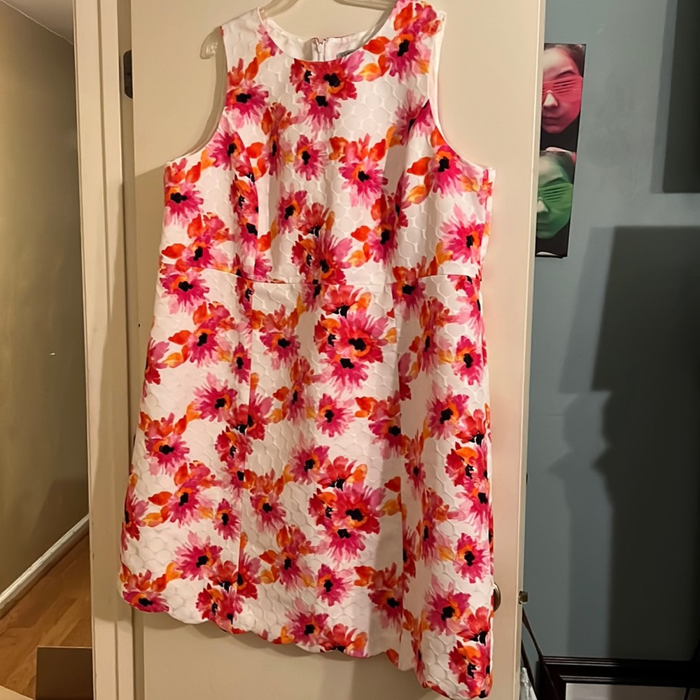 KASPER floral dress 24W